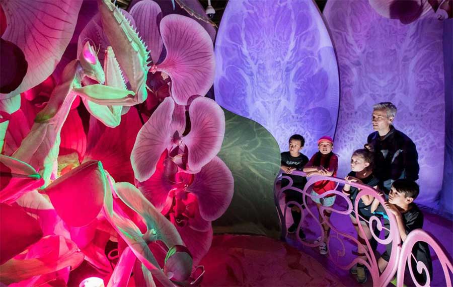 dad and kids viewing museum exhibit with giant orchid and mantis at front science museum miami