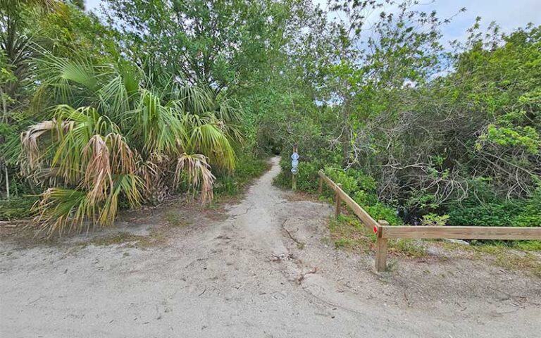 entrance to trail on sandy pathway with fence at wickham park melbourne