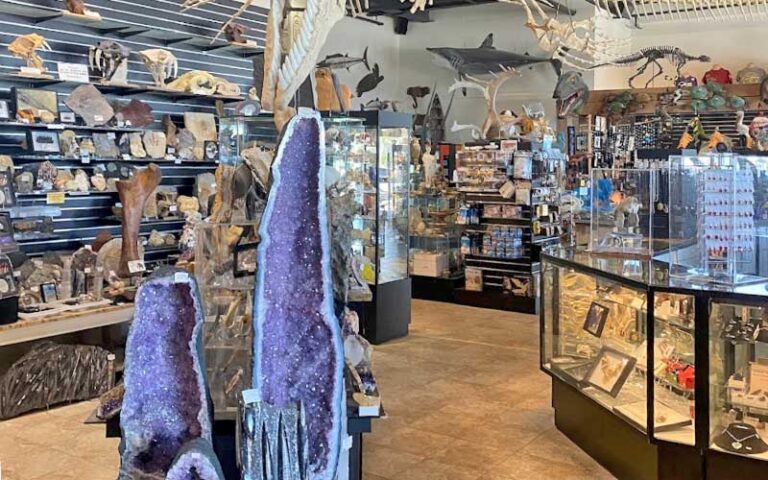 interior of store with minerals and crystals at the dinosaur store cocoa beach