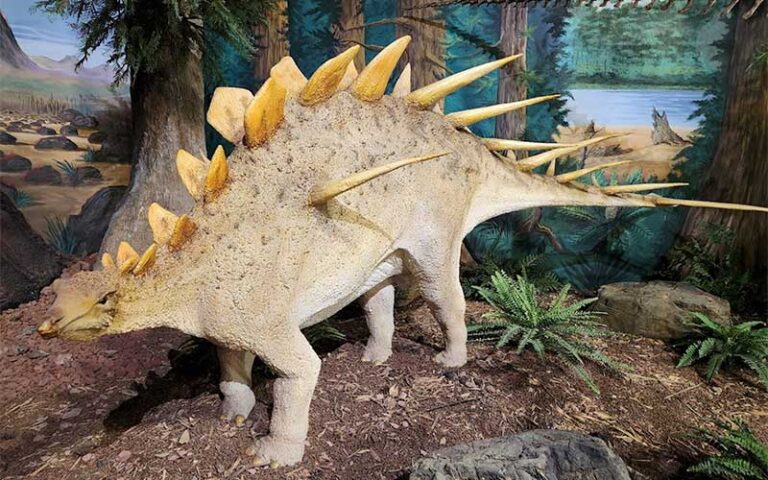 life size model of stegosaurus in exhibit at the dinosaur store cocoa beach