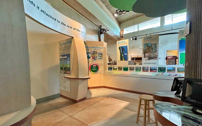 museum interior with ecosystem exhibits at brevard county enchanted forest sanctuary titusville