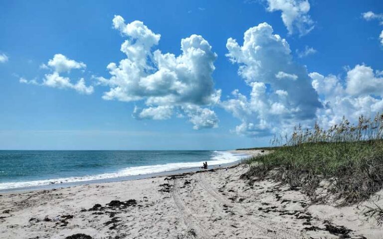 panorama of beach with surf and grass and cloudy sky at sebastian inlet state park melbourne beach