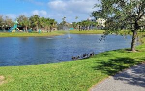 pond with ducks and playground on opposite bank at manatee sanctuary park cape canaveral