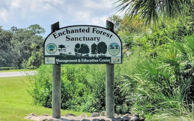 roadside entrance sign with rocks and treeline at brevard county enchanted forest sanctuary titusville