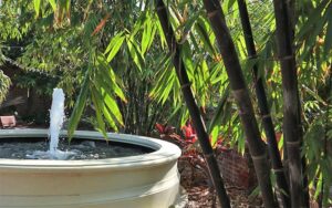 round stone fountain with bamboo trees at key west garden club at west martello tower