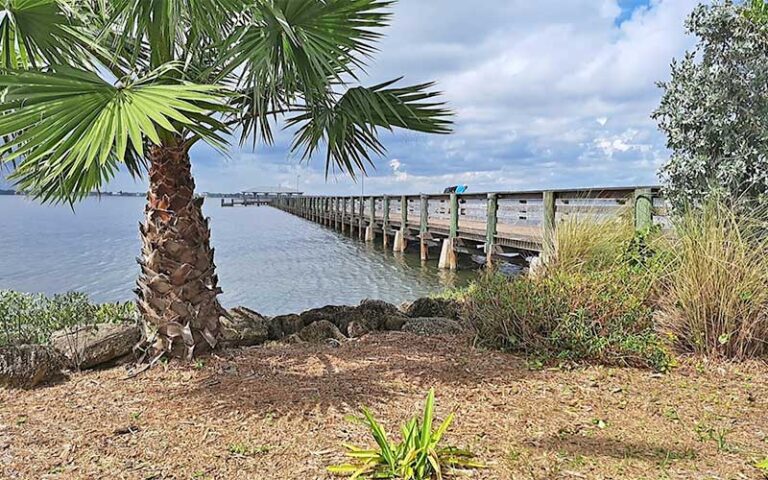 side view of pier from bank with palms at melbourne beach pier space coast