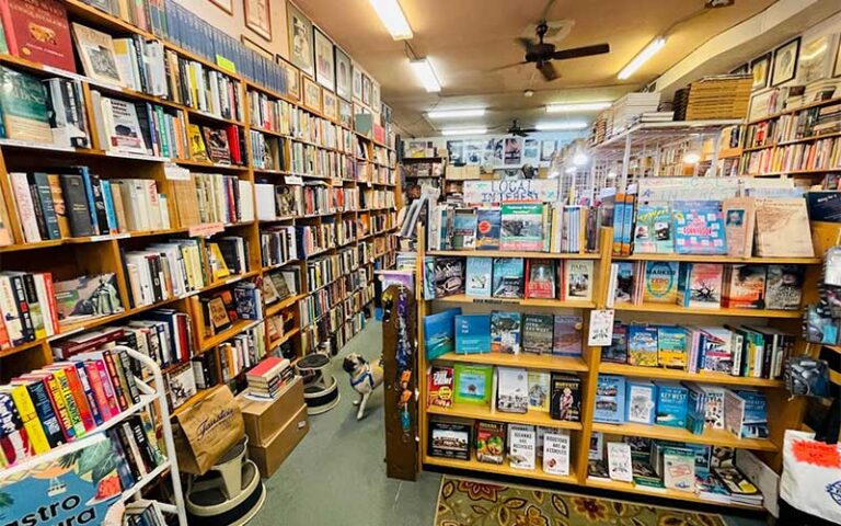 store interior with many shelves of books at key west island bookstore