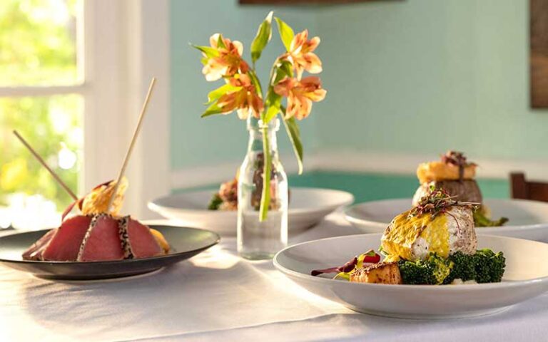 three entrees on interior dining table at bagatelle key west