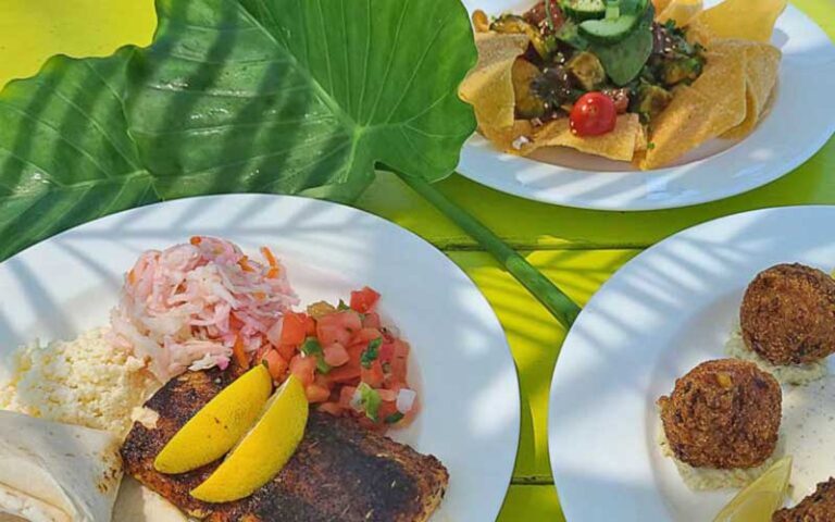 three seafood entrees with palm leaf at sunset pier key west