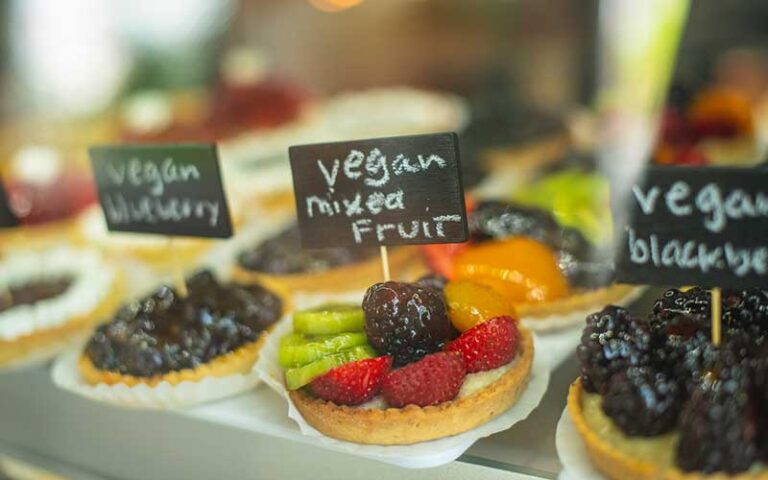 vegan fruit tarts in bakery case at moondog cafe key west