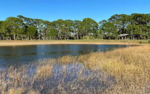 view across grassy pond with trees and pavilion at wickham park melbourne