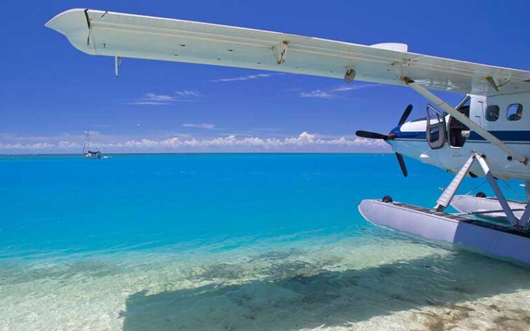 view beside seaplane from beach of open water at key west seaplane adventures