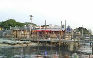 view from river of dock with restaurant at the old fish house bar grill grant valkaria