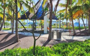 view through trees of play areas at truman waterfront park key west