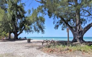 beach park with large trees and picnic tables at bayfront park anna maria island