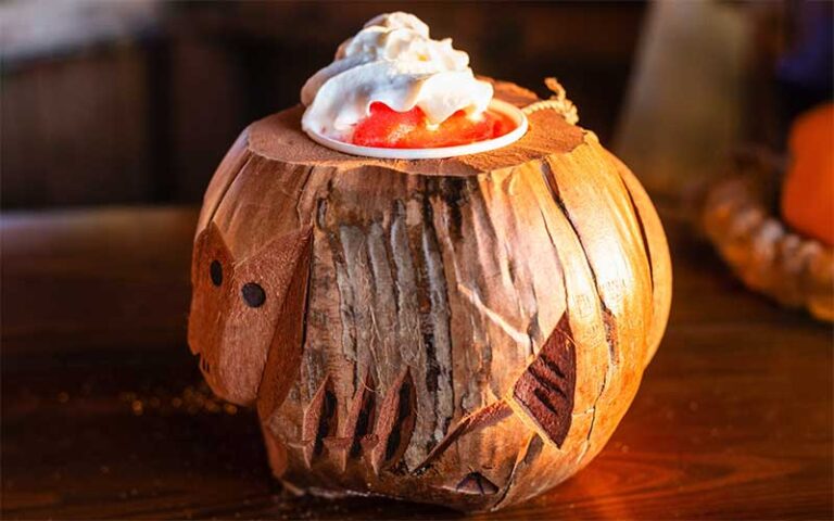 carved coconut drink on bar with foamy topping at anna maria island beach cafe