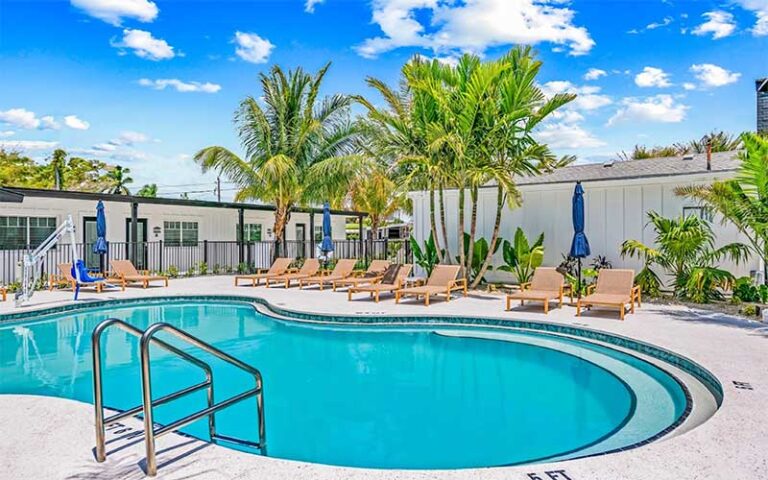 curvy pool with deck chairs and palms at anna maria island inn bradenton beach