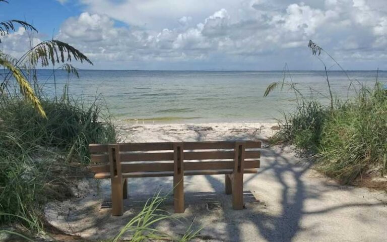 park bench with dune grass overlooking bay with bridge at bayfront park anna maria island