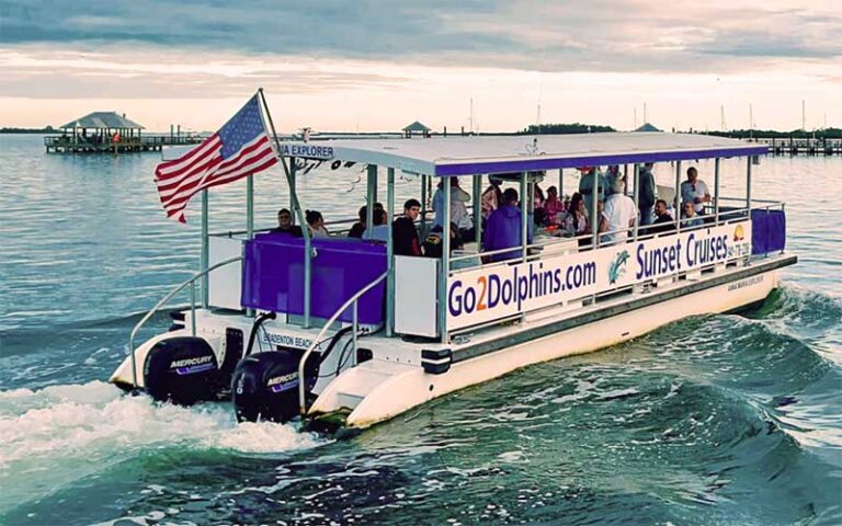 pontoon boat dolphin tour on bay at bradenton beach marina anna maria island