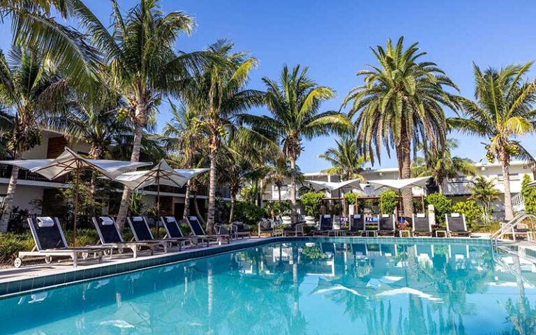 pool area with palms and seating at bali hai beach resort holmes anna maria island