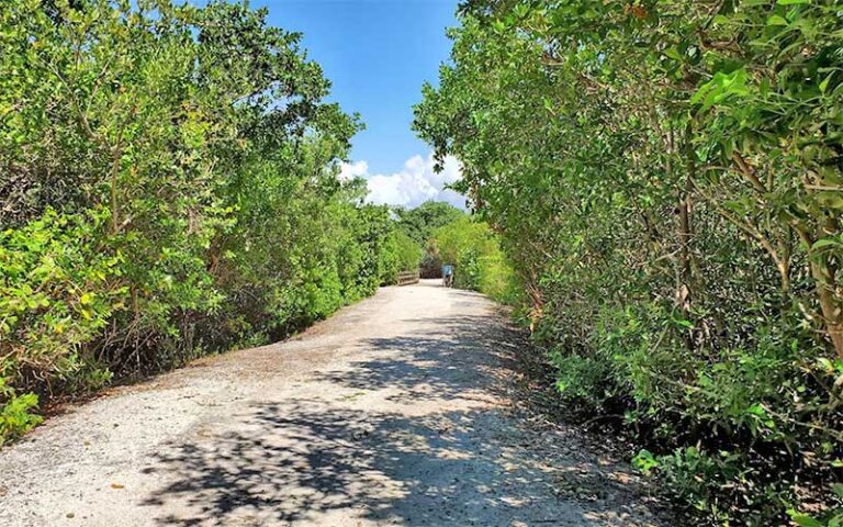 sandy trail leading to gate entrance at leffis key preserve bradenton beach anna maria island