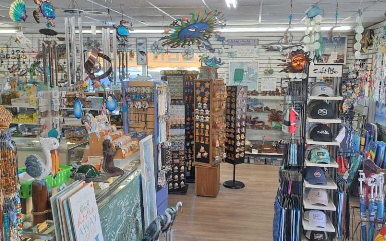 store interior with crafts and artwork at green turtle shell gift shop bradenton beach