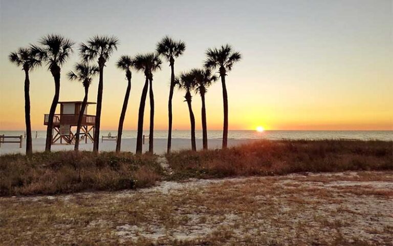 sunset over beach with row of palms and lifeguard tower at coquina beach bradenton anna maria island