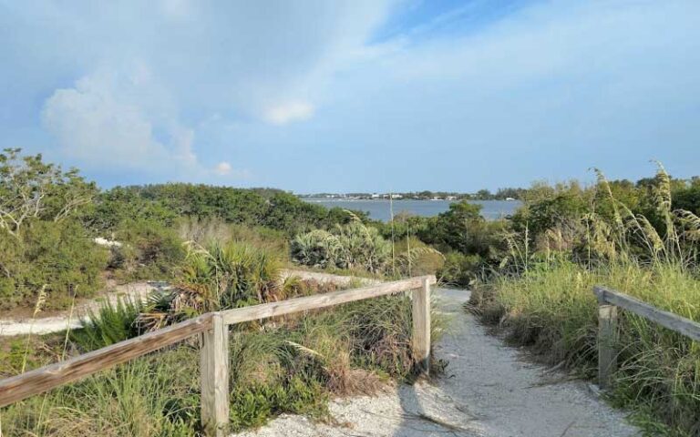 trails on dunes with bay view at leffis key preserve bradenton beach anna maria island