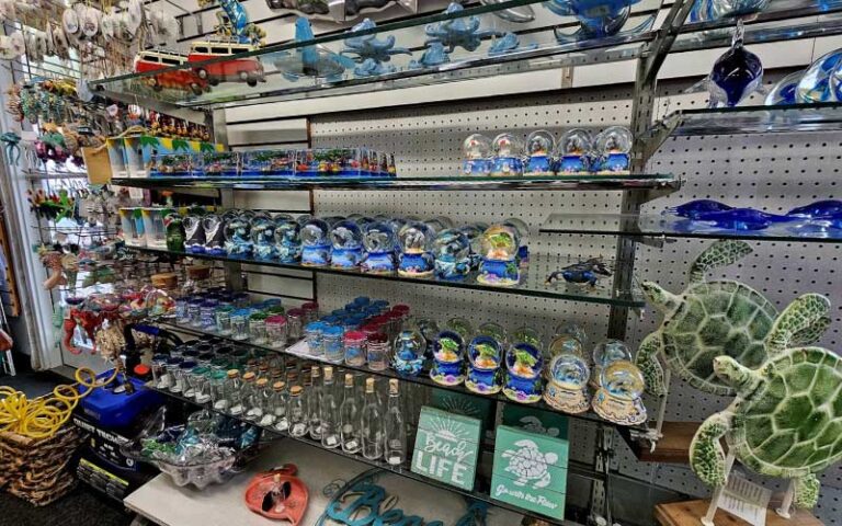 wall shelf with souvenirs and beach toys at green turtle shell gift shop bradenton beach