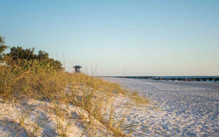 white sand beach with grassy dunes and lifeguard stand at cortez beach bradenton anna maria island