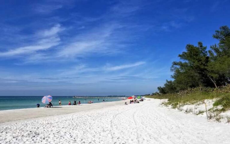 white sand beach with tree line and beachgoers at cortez beach bradenton anna maria island