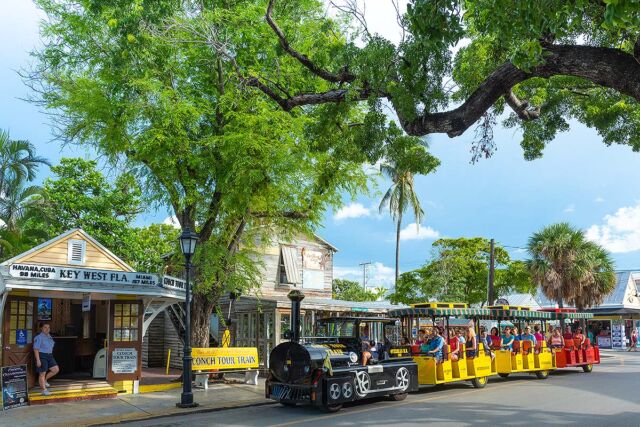 Historic Tours of America takes pride in showcasing Key West’s historical significance and contributing to its cultural vitality. Through our immersive experiences, we aim to foster a deeper appreciation for Key West’s unique charm, its pivotal role in history, and its profound impact on American culture.
@nationsstoryteller